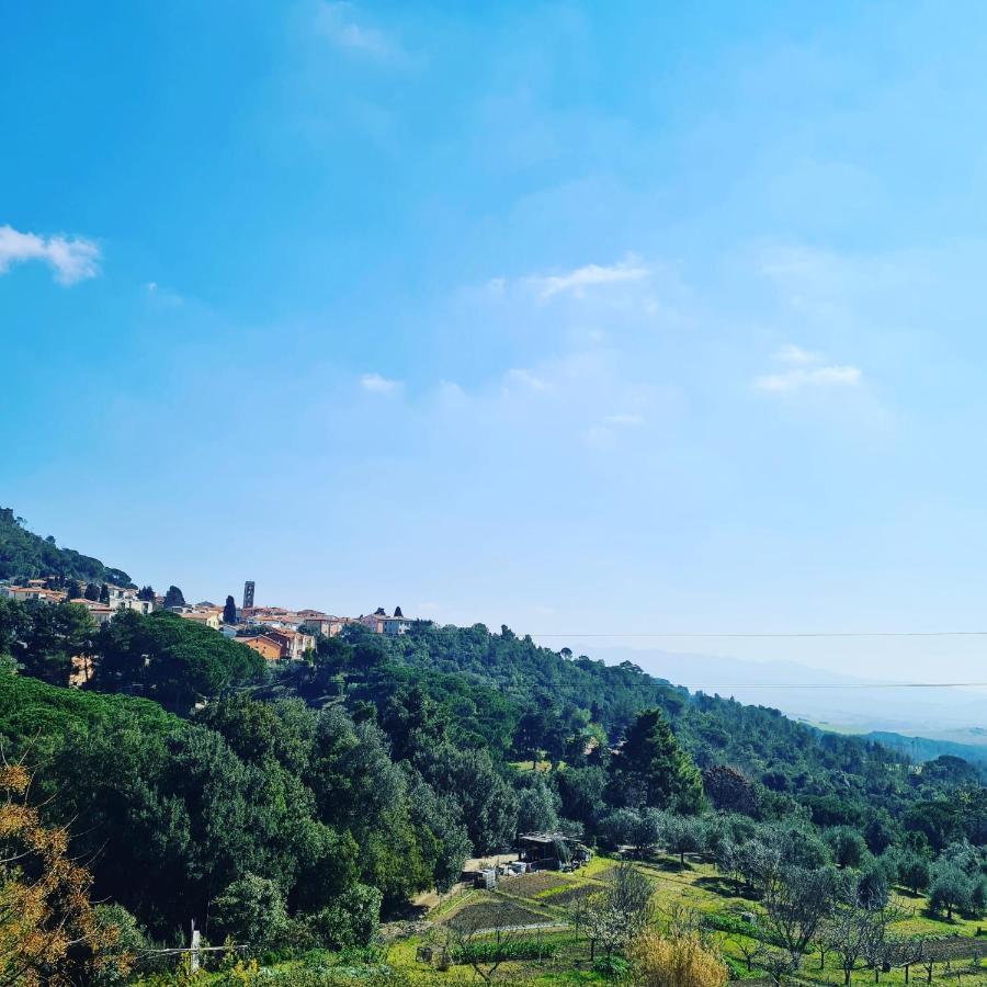 Casa Vacanze Le Rose Villa Gabbro Екстериор снимка